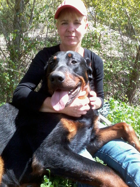 domainedelalicorne.fr Elevage de beauceron chiot beauceron pure race élevage du clos de la licorne elevage des gardiens de la licorne elevage beauceron noir et feu authentique gros gabarits élevage de Beauceron familial sérieux et qualité domainedelalicorne.fr suivi des chiots conseil d’éducation chiot propre bas rouge santé caractère spécialiste du beauceron noir et feu ou arlequin chien rustique berger de France  nos chiots sont élevés avec amour et attention notre passion au service de la qualité Beauceron de qualité et sportif domaine de la licorne 04380 BARRAS élevage en liberté éleveur berger de beauce élevage de beauceron de travail 